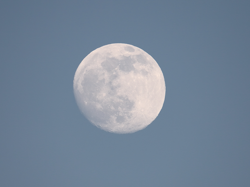 The moon